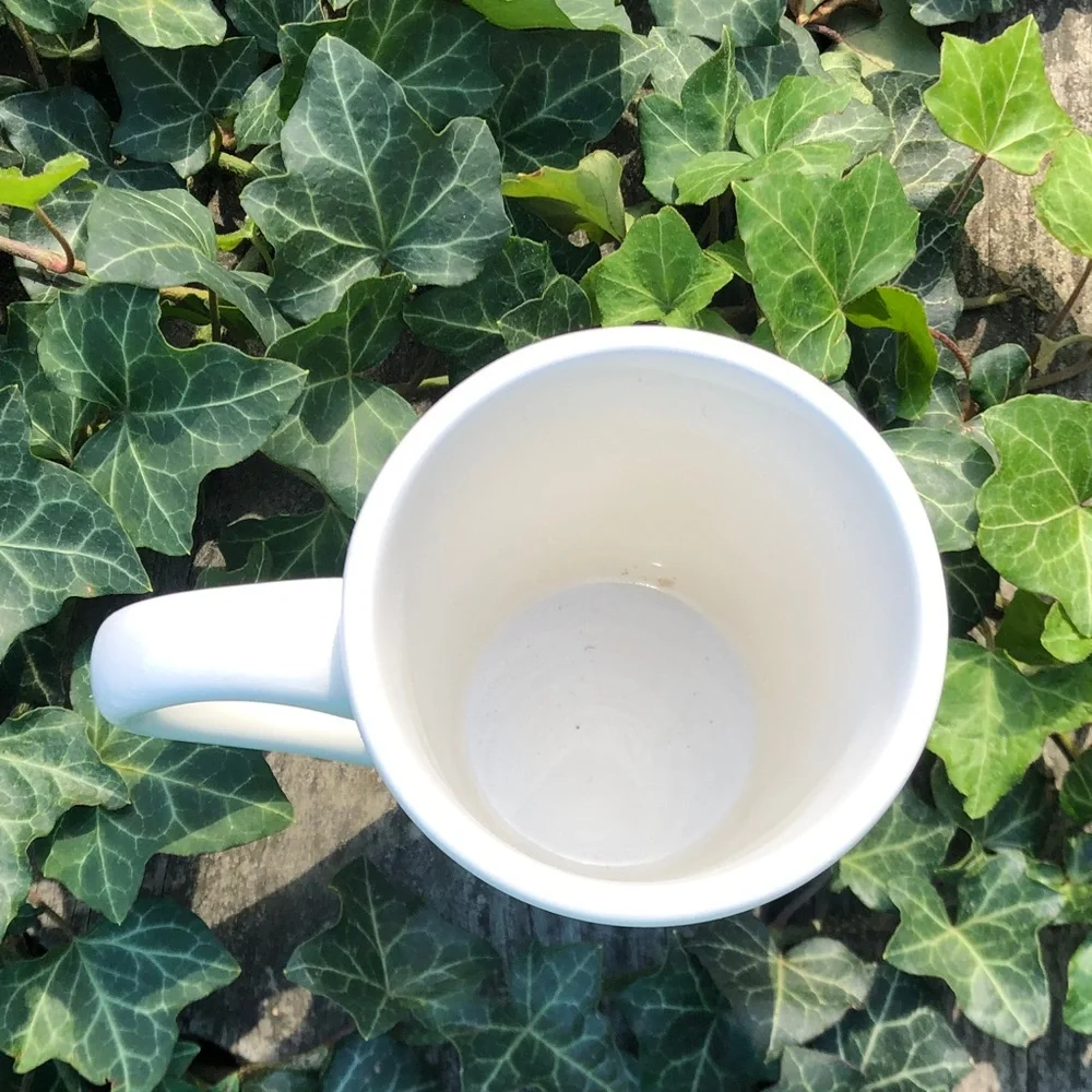 Williams Sonoma White Mug with Snowman Design